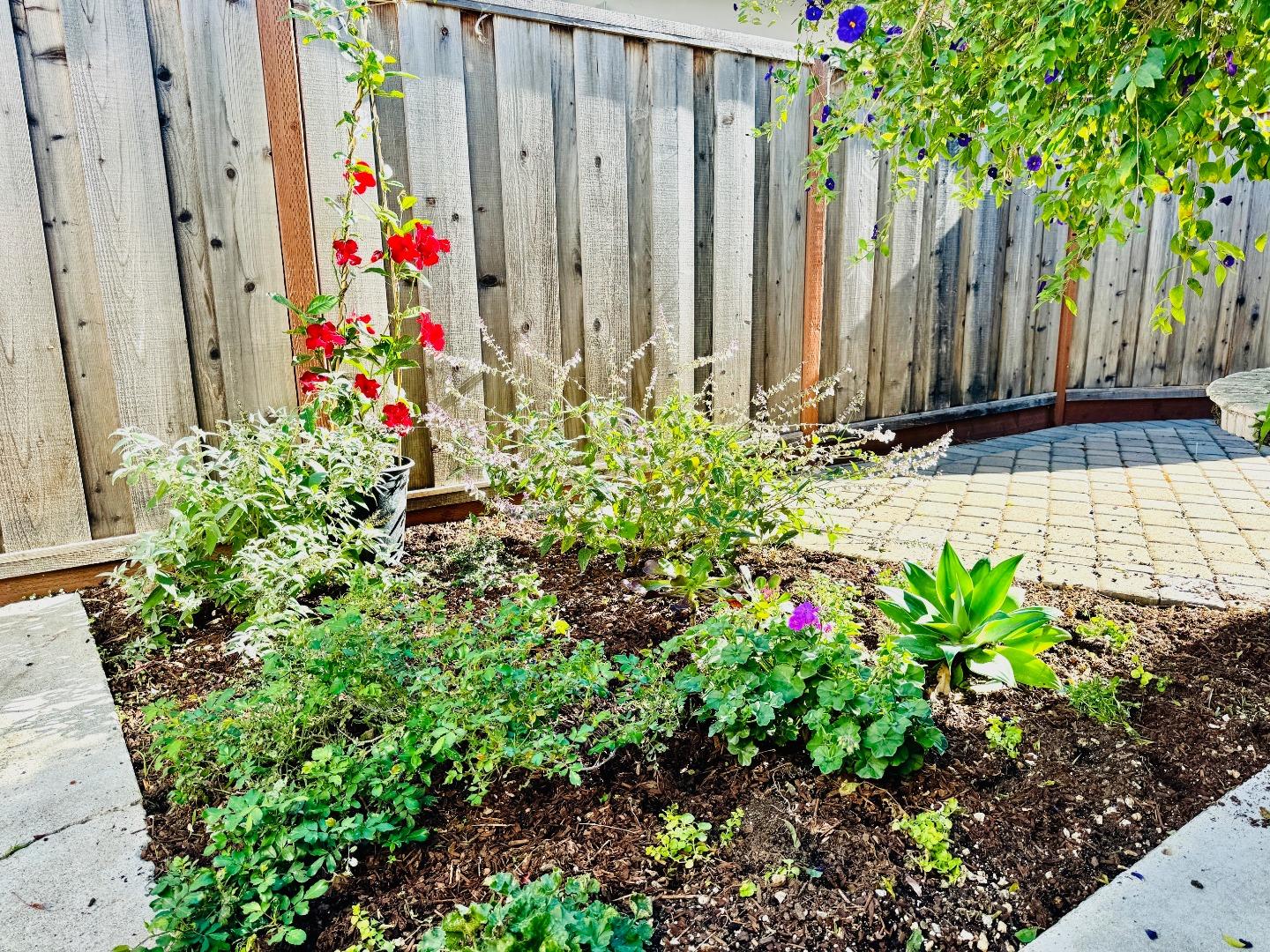 Detail Gallery Image 5 of 34 For 1555 Merrill St 111a,  Santa Cruz,  CA 95062 - 2 Beds | 2 Baths