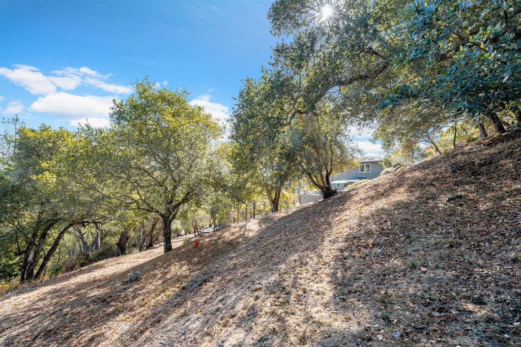 Detail Gallery Image 53 of 66 For 3765 Old Pilkington Rd, Santa Cruz,  CA 95060 - 4 Beds | 2/1 Baths