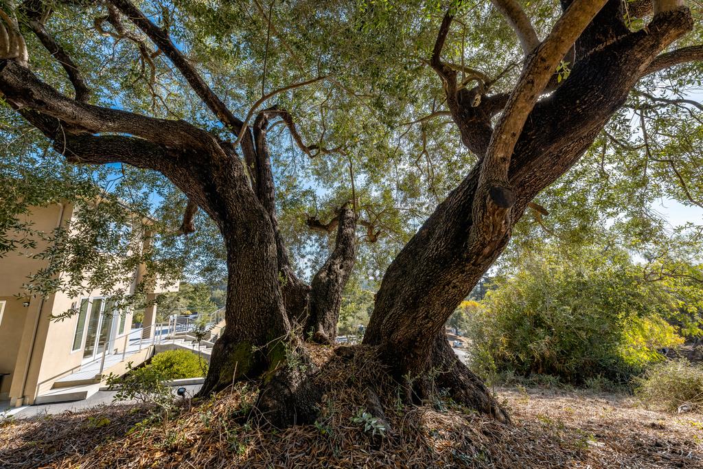 Detail Gallery Image 58 of 66 For 3765 Old Pilkington Rd, Santa Cruz,  CA 95060 - 4 Beds | 2/1 Baths