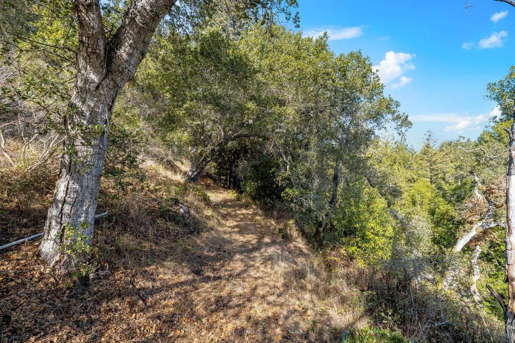 Detail Gallery Image 61 of 66 For 3765 Old Pilkington Rd, Santa Cruz,  CA 95060 - 4 Beds | 2/1 Baths