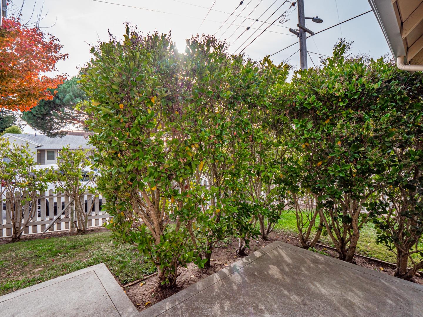 Detail Gallery Image 48 of 57 For 106 Clinton St, Santa Cruz,  CA 95062 - 5 Beds | 4/1 Baths