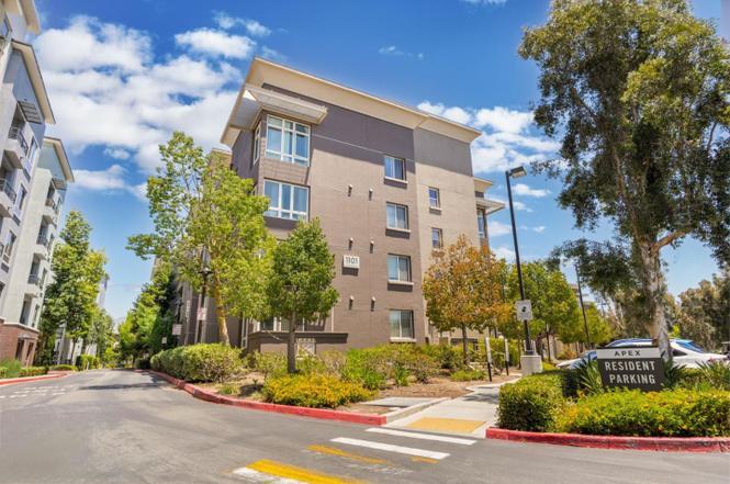 Detail Gallery Image 1 of 1 For 1101 S Main St #329,  Milpitas,  CA 95035 - 1 Beds | 1 Baths