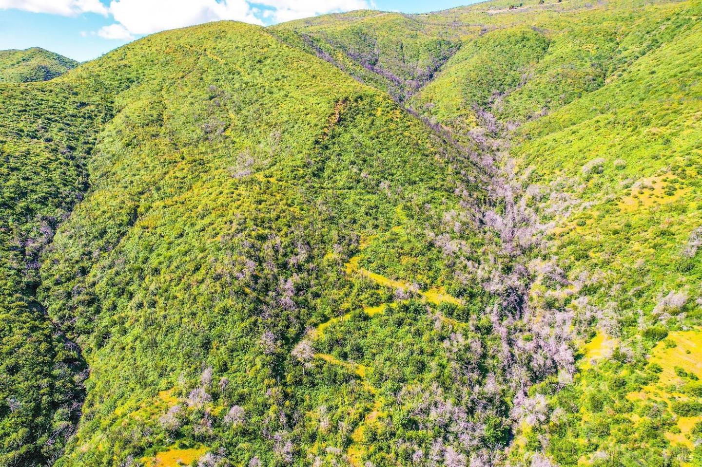 2778 Mix Canyon Road, Vacaville, California 95688, ,Land,For Sale,2778 Mix Canyon Road,ML81987122