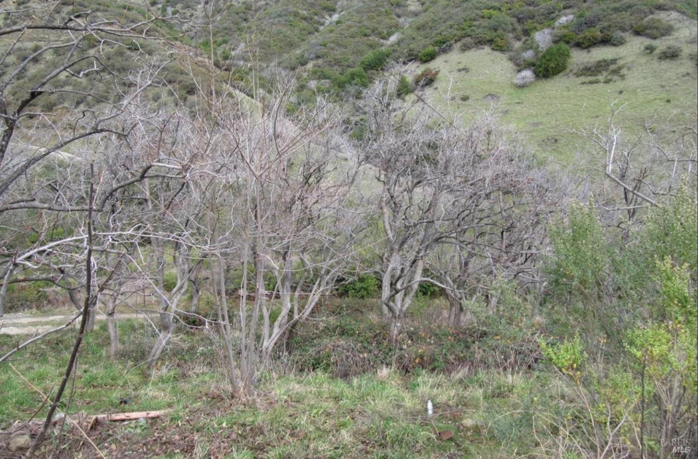 2778 Mix Canyon Road, Vacaville, California 95688, ,Land,For Sale,2778 Mix Canyon Road,ML81987122