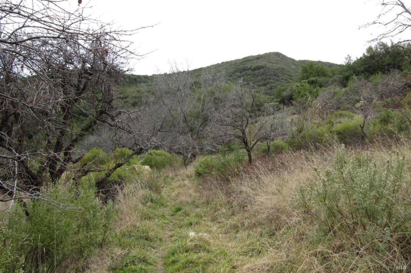 2778 Mix Canyon Road, Vacaville, California 95688, ,Land,For Sale,2778 Mix Canyon Road,ML81987122