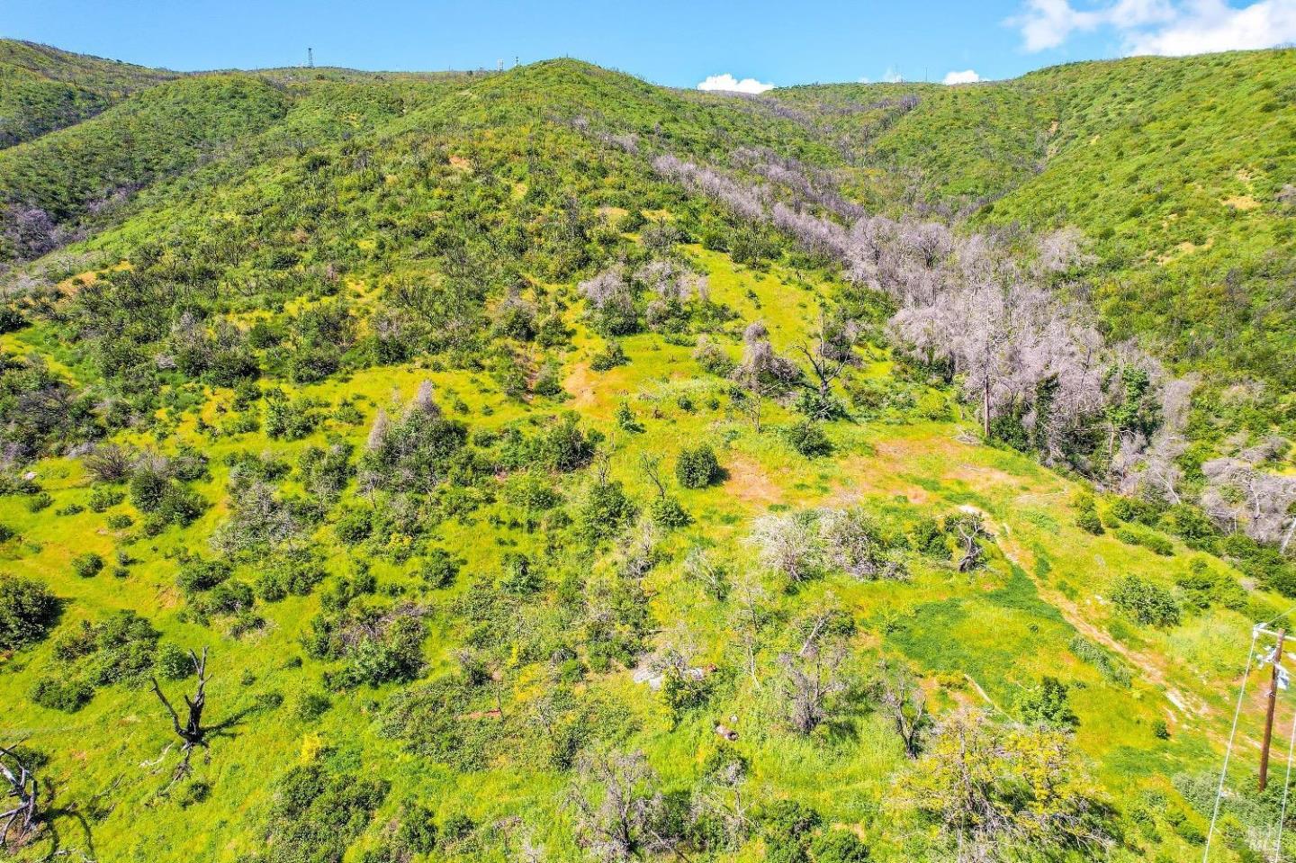 2778 Mix Canyon Road, Vacaville, California 95688, ,Land,For Sale,2778 Mix Canyon Road,ML81987122