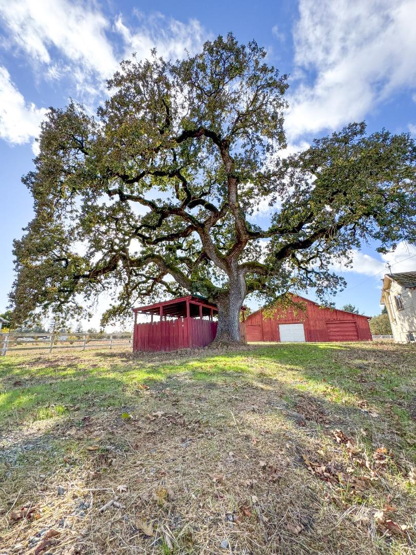 Detail Gallery Image 6 of 20 For 1665 Willowside Rd, Santa Rosa,  CA 95401 - 4 Beds | 3 Baths