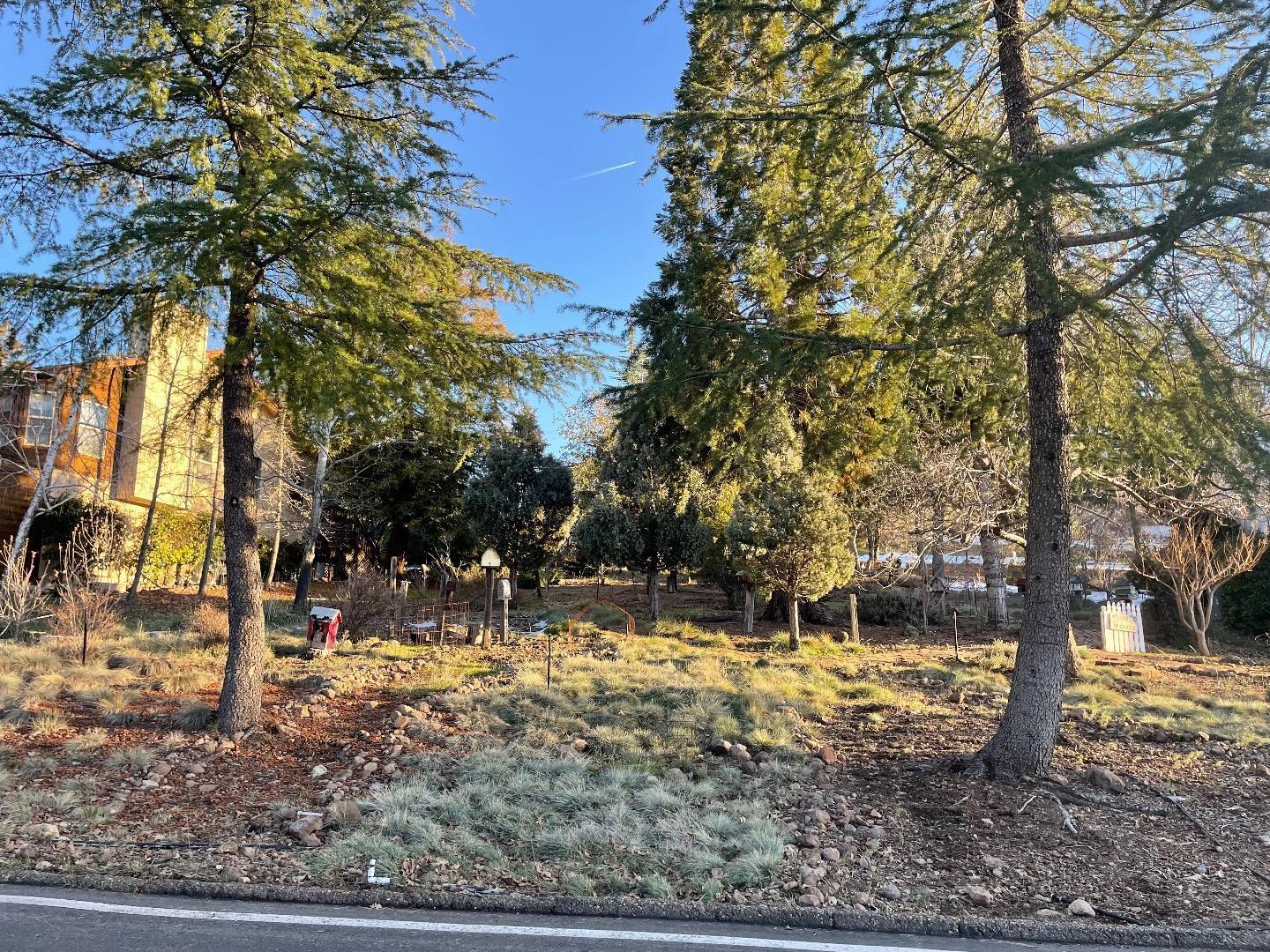 731 Dogwood Drive, Murphys, California 95247, ,Land,For Sale,731 Dogwood Drive,ML81987184