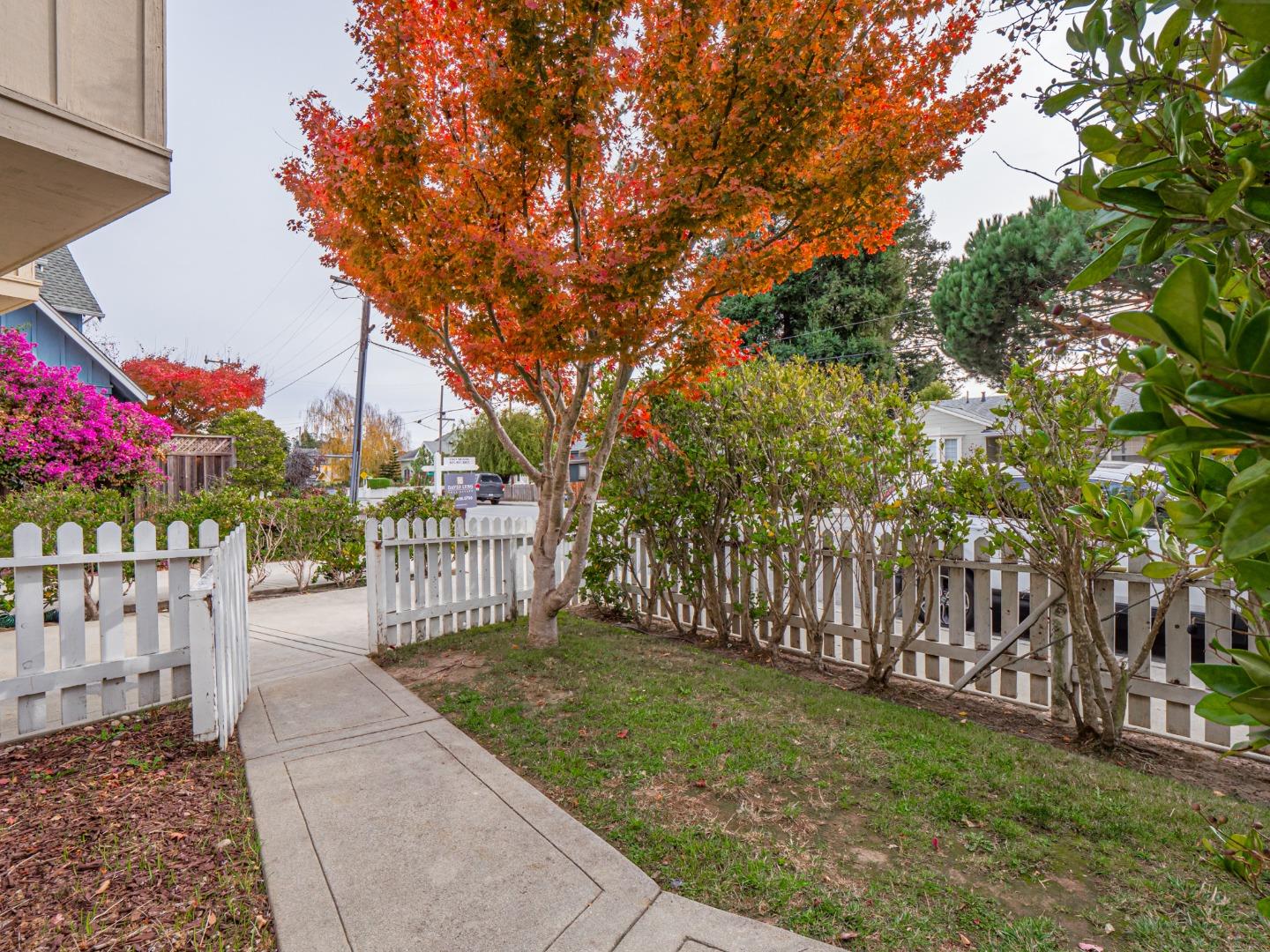 Detail Gallery Image 50 of 62 For 106 Clinton St, Santa Cruz,  CA 95062 - – Beds | – Baths