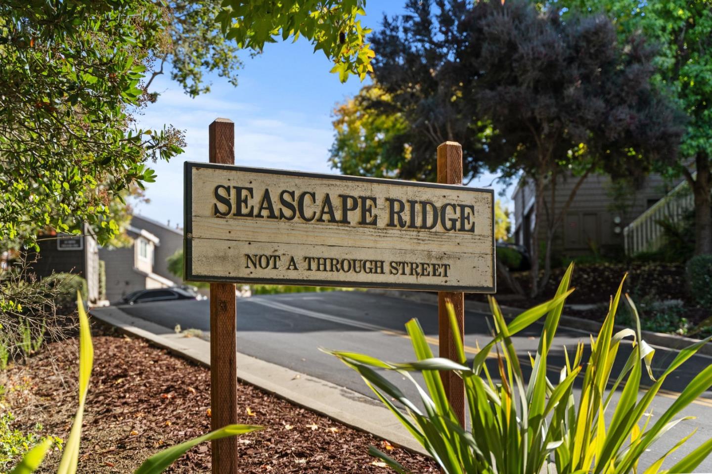 Detail Gallery Image 5 of 54 For 184 Seascape Ridge Dr, Aptos,  CA 95003 - 2 Beds | 2 Baths