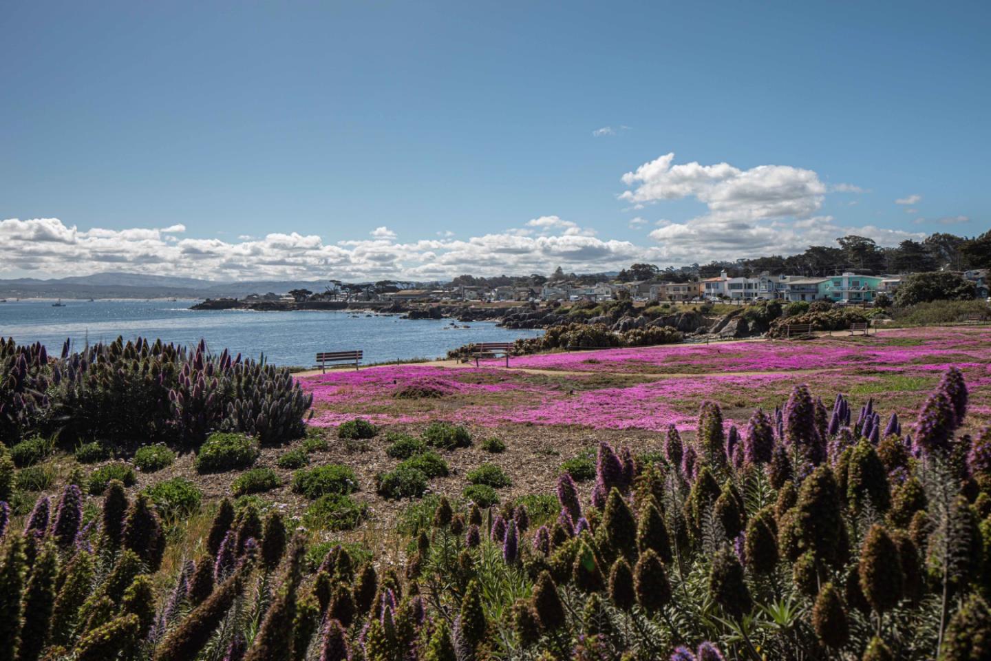 Detail Gallery Image 14 of 16 For 1212 Funston Ave, Pacific Grove,  CA 93950 - 3 Beds | 2 Baths