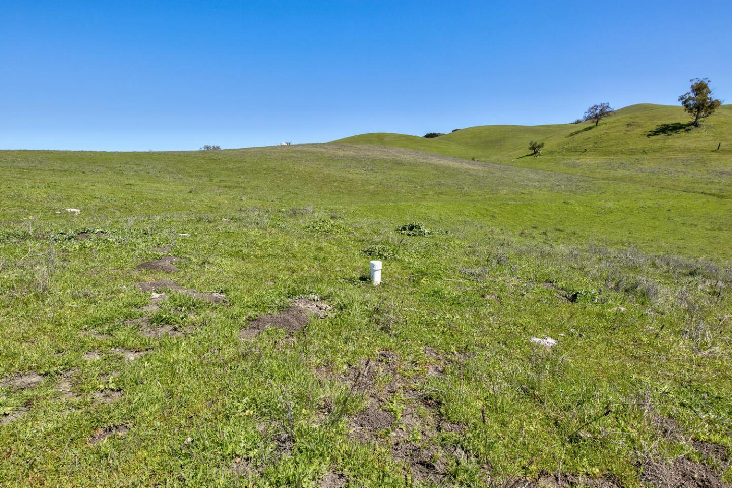 Detail Gallery Image 25 of 59 For Address Not Disclosed, San Jose,  CA 95127 - – Beds | – Baths