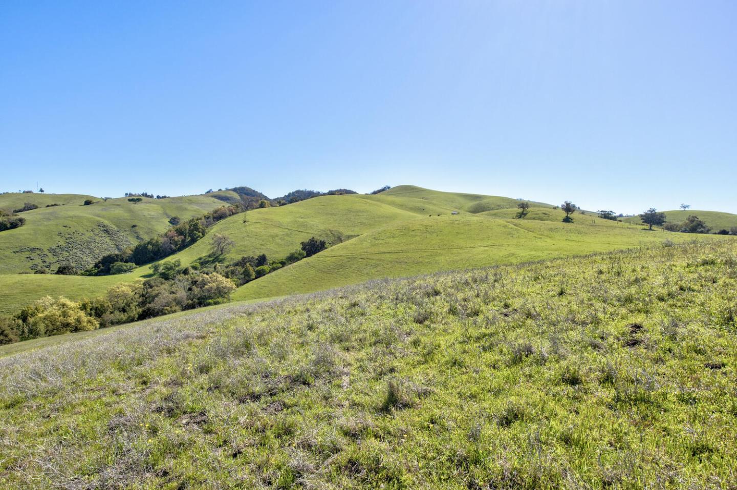 Detail Gallery Image 31 of 59 For Address Not Disclosed, San Jose,  CA 95127 - – Beds | – Baths