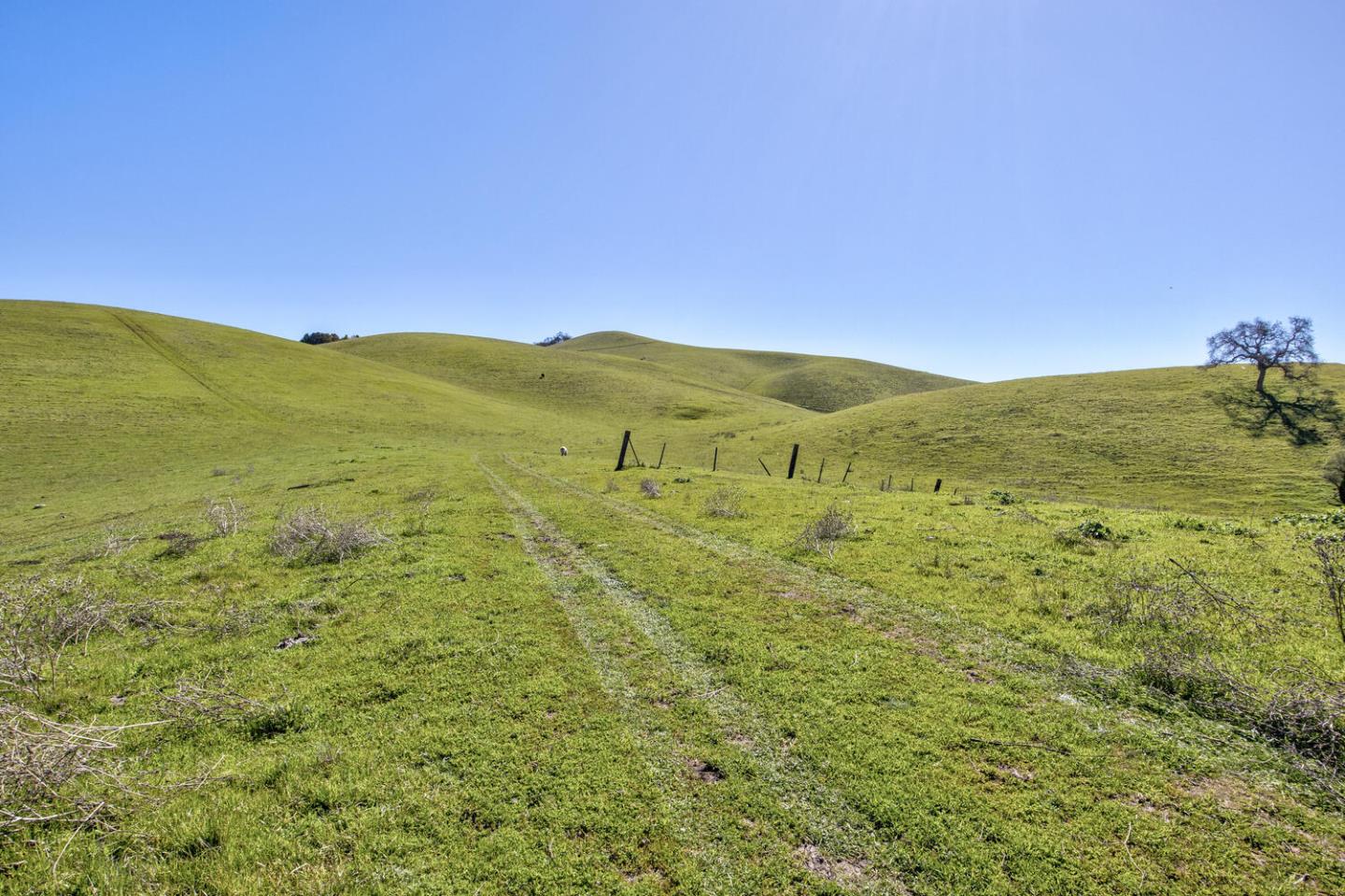 Detail Gallery Image 40 of 59 For Address Not Disclosed, San Jose,  CA 95127 - – Beds | – Baths