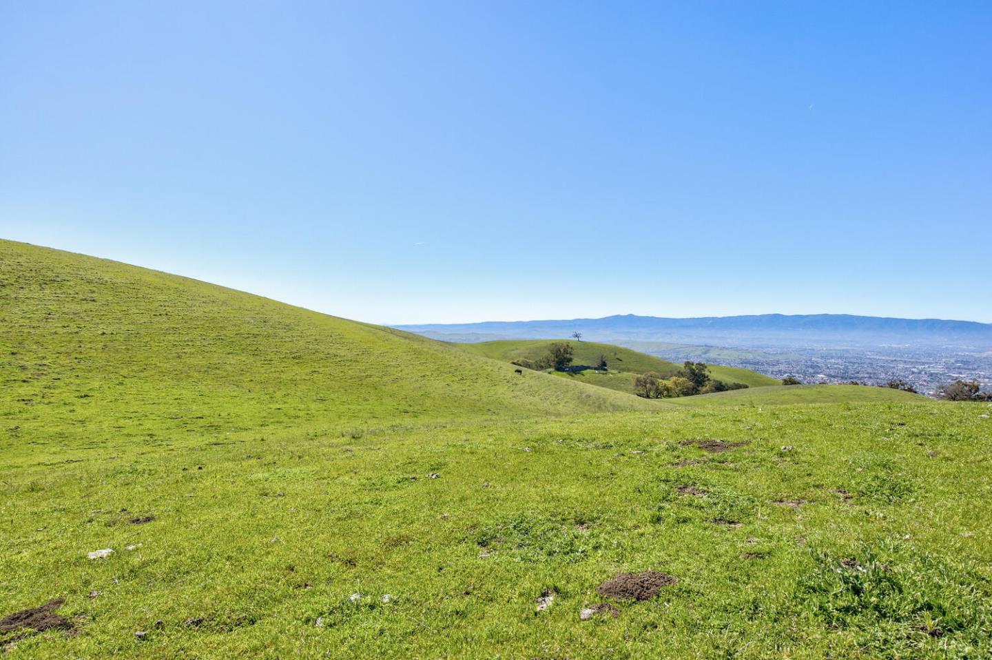 Detail Gallery Image 51 of 59 For Address Not Disclosed, San Jose,  CA 95127 - – Beds | – Baths