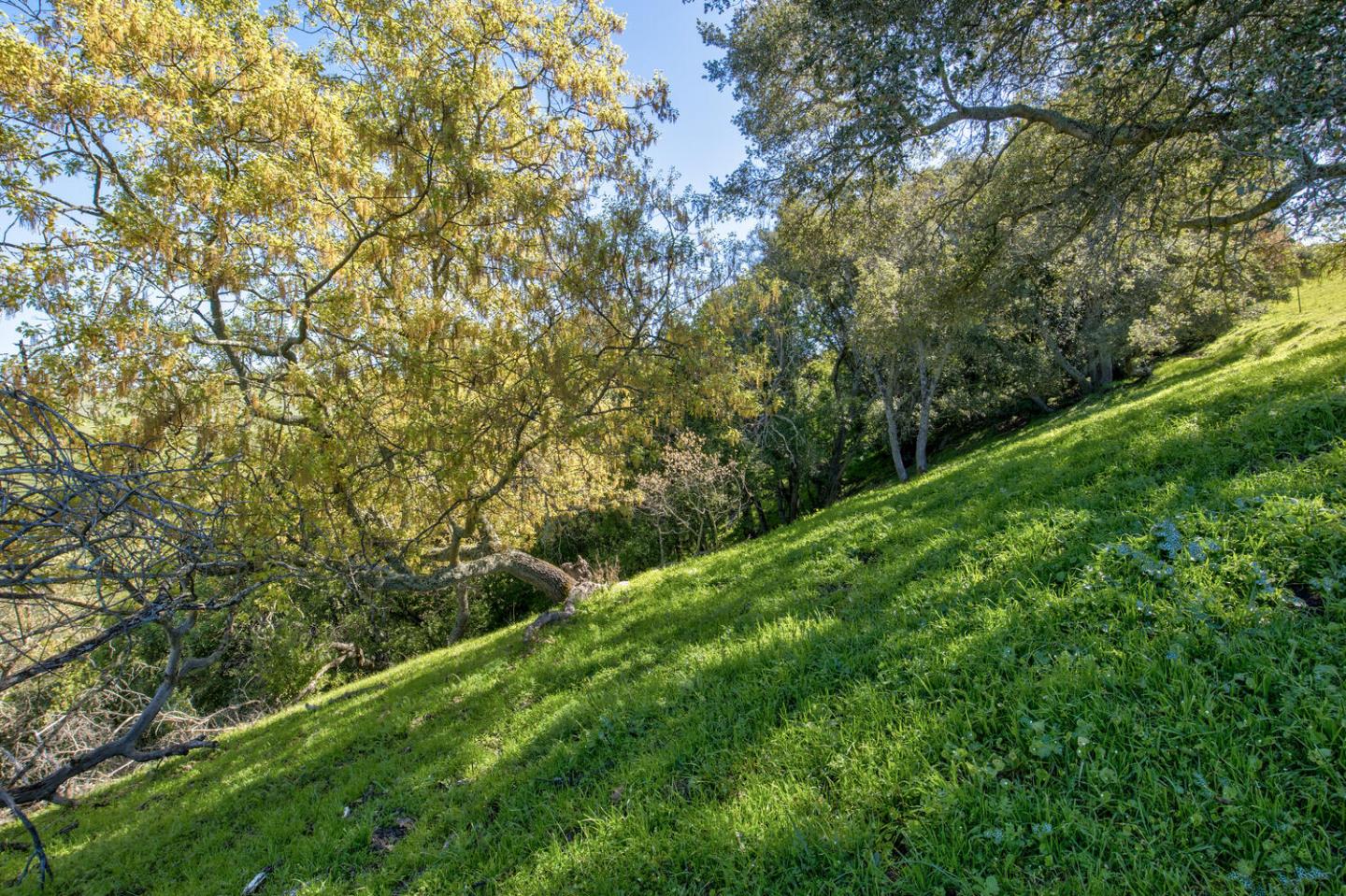 Detail Gallery Image 54 of 59 For Address Not Disclosed, San Jose,  CA 95127 - – Beds | – Baths