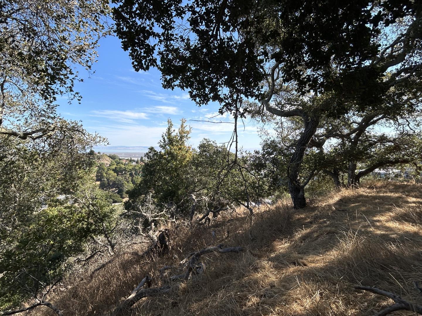 Detail Gallery Image 2 of 8 For 0a Winding Way, San Carlos,  CA 94070 - – Beds | – Baths