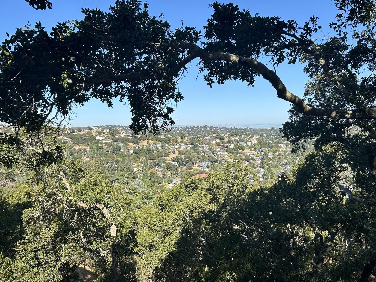 0b Winding Way, San Carlos, California 94070, ,Land,For Sale,0b Winding Way,ML81987325