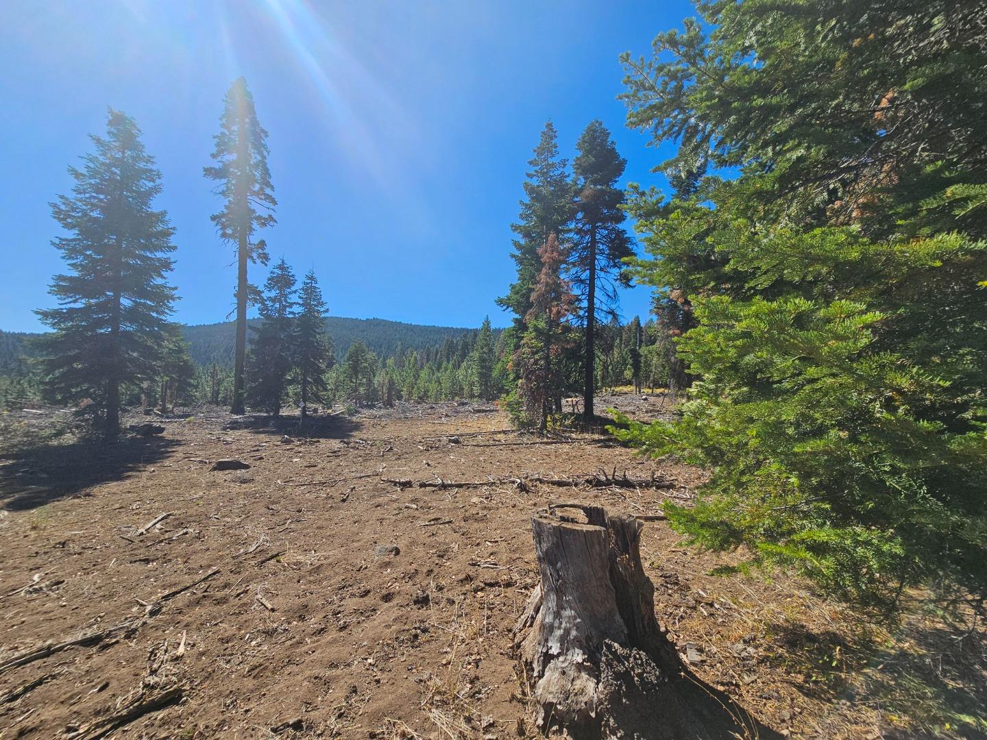 0 Prospect Road, Alturas, California 96101, ,Land,For Sale,0 Prospect Road,ML81987333