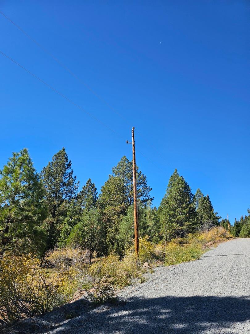 0 Prospect Road, Alturas, California 96101, ,Land,For Sale,0 Prospect Road,ML81987333
