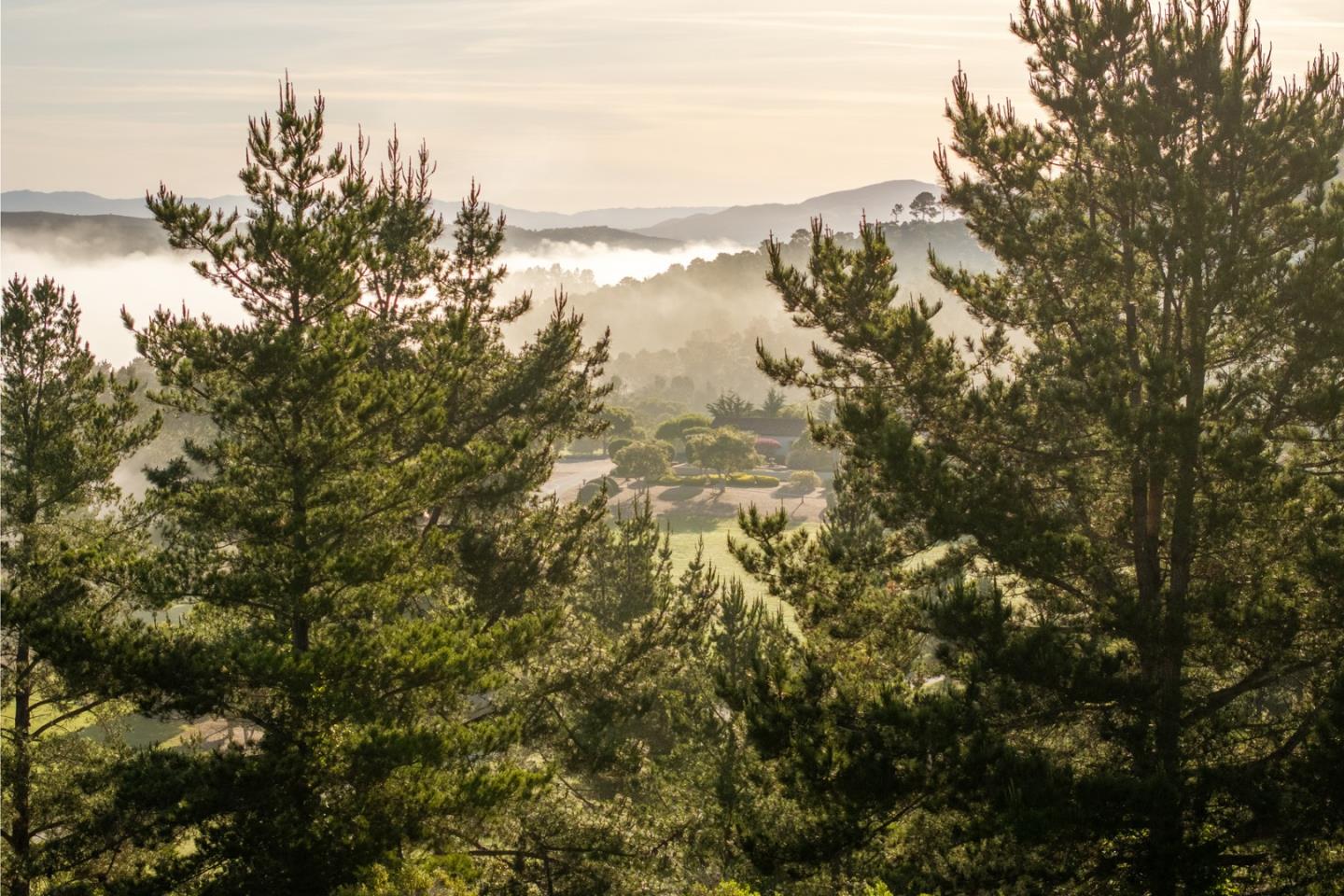 Detail Gallery Image 2 of 19 For 7925 Cinquenta (Lot 97), Carmel,  CA 93923 - – Beds | – Baths
