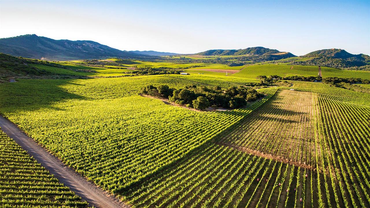 2332 Atlas Peak Road, Napa, California 94558, ,Land,For Sale,2332 Atlas Peak Road,ML81987530