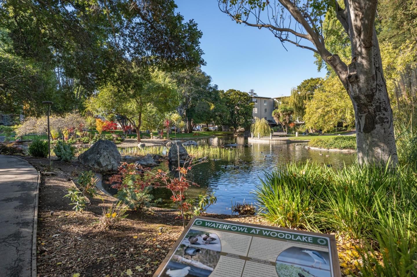 Detail Gallery Image 20 of 34 For 845 N Humboldt St #403,  San Mateo,  CA 94401 - 1 Beds | 1 Baths