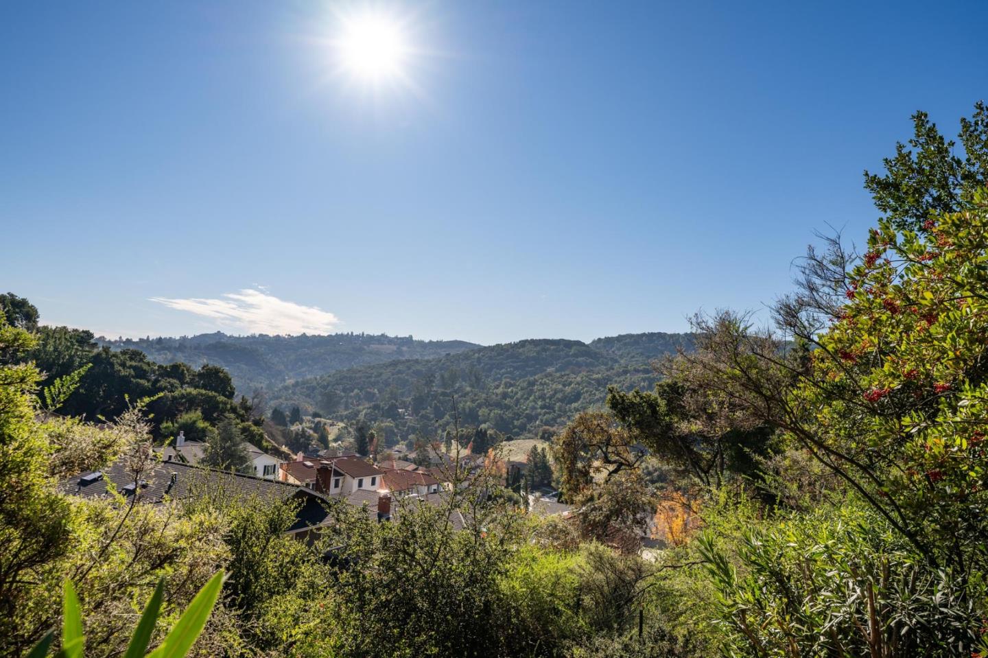 Detail Gallery Image 39 of 55 For 1318 Crestview Dr, San Carlos,  CA 94070 - 3 Beds | 2 Baths