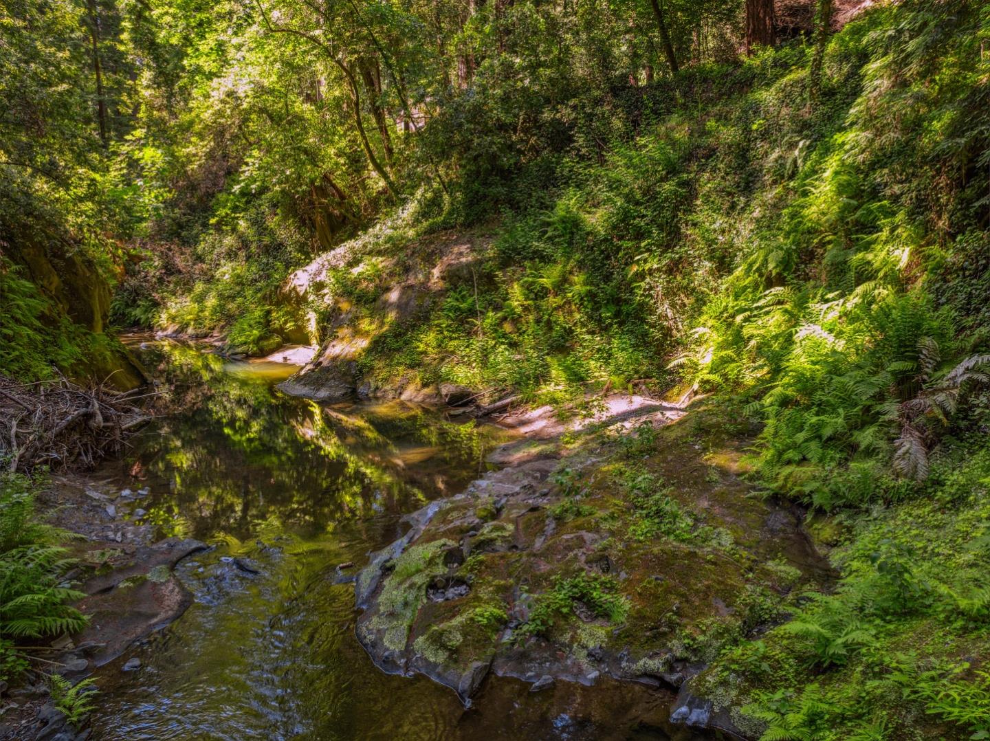 Detail Gallery Image 19 of 31 For 0 Highway 9, Boulder Creek,  CA 95006 - – Beds | – Baths