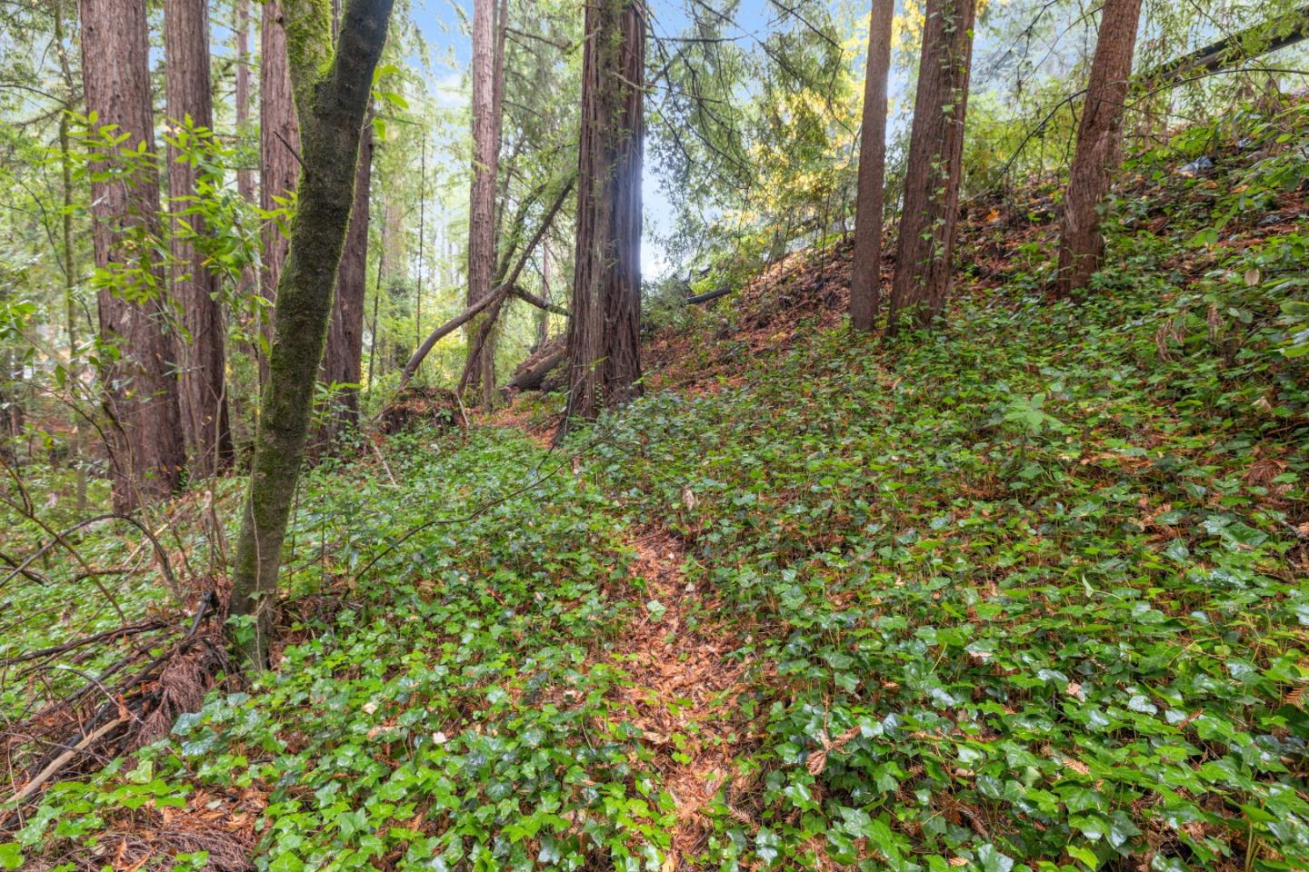 Detail Gallery Image 2 of 17 For 0 Highway 9, Boulder Creek,  CA 95006 - – Beds | – Baths