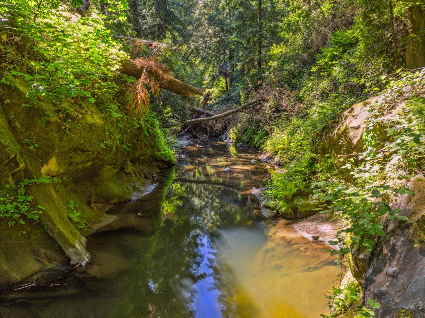 Detail Gallery Image 20 of 31 For 0 Highway 9, Boulder Creek,  CA 95006 - – Beds | – Baths
