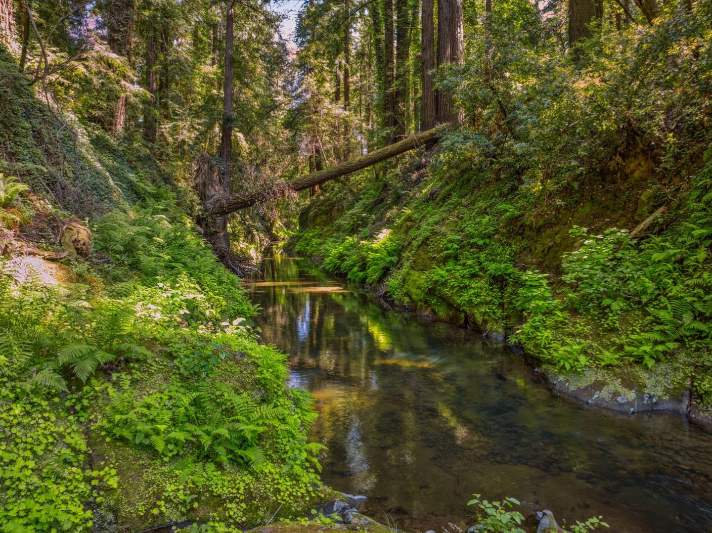 Detail Gallery Image 21 of 31 For 0 Highway 9, Boulder Creek,  CA 95006 - – Beds | – Baths