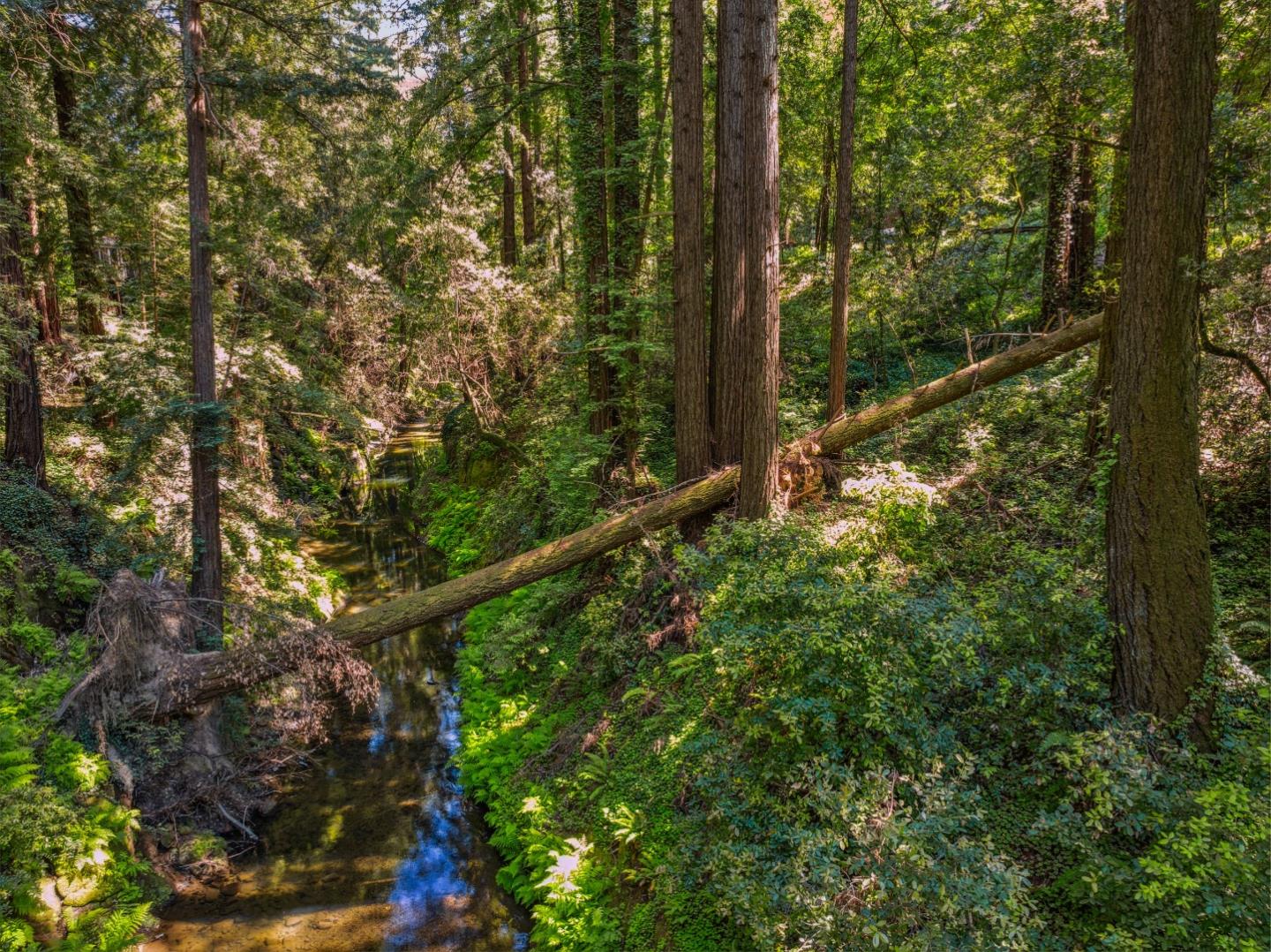 Detail Gallery Image 22 of 31 For 0 Highway 9, Boulder Creek,  CA 95006 - – Beds | – Baths