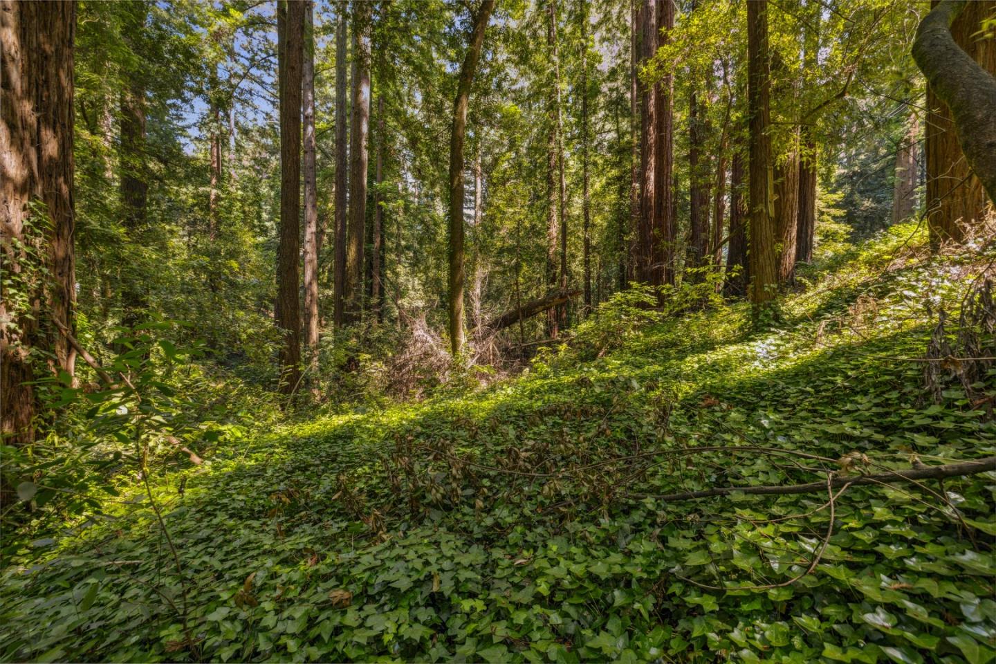 Detail Gallery Image 3 of 31 For 0 Highway 9, Boulder Creek,  CA 95006 - – Beds | – Baths