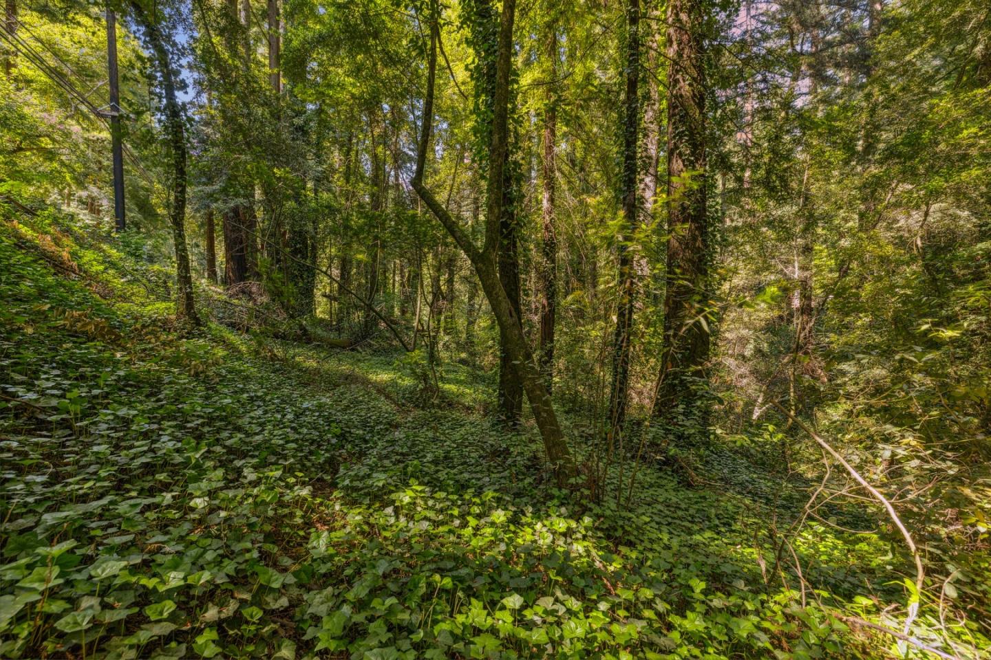 Detail Gallery Image 4 of 31 For 0 Highway 9, Boulder Creek,  CA 95006 - – Beds | – Baths