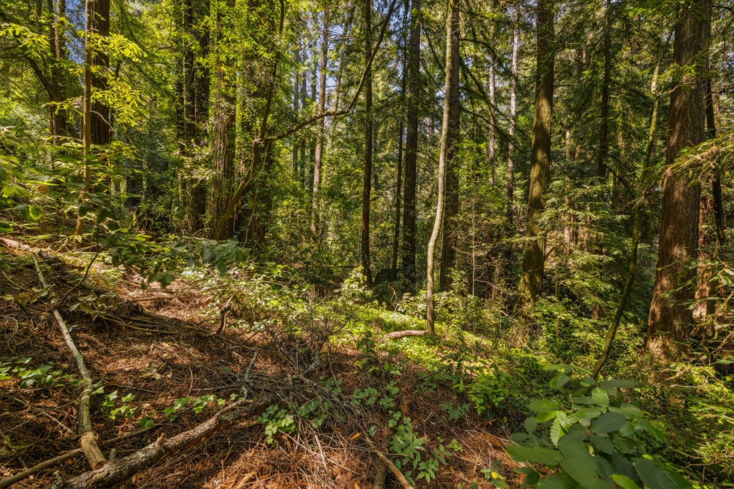 Detail Gallery Image 8 of 31 For 0 Highway 9, Boulder Creek,  CA 95006 - – Beds | – Baths