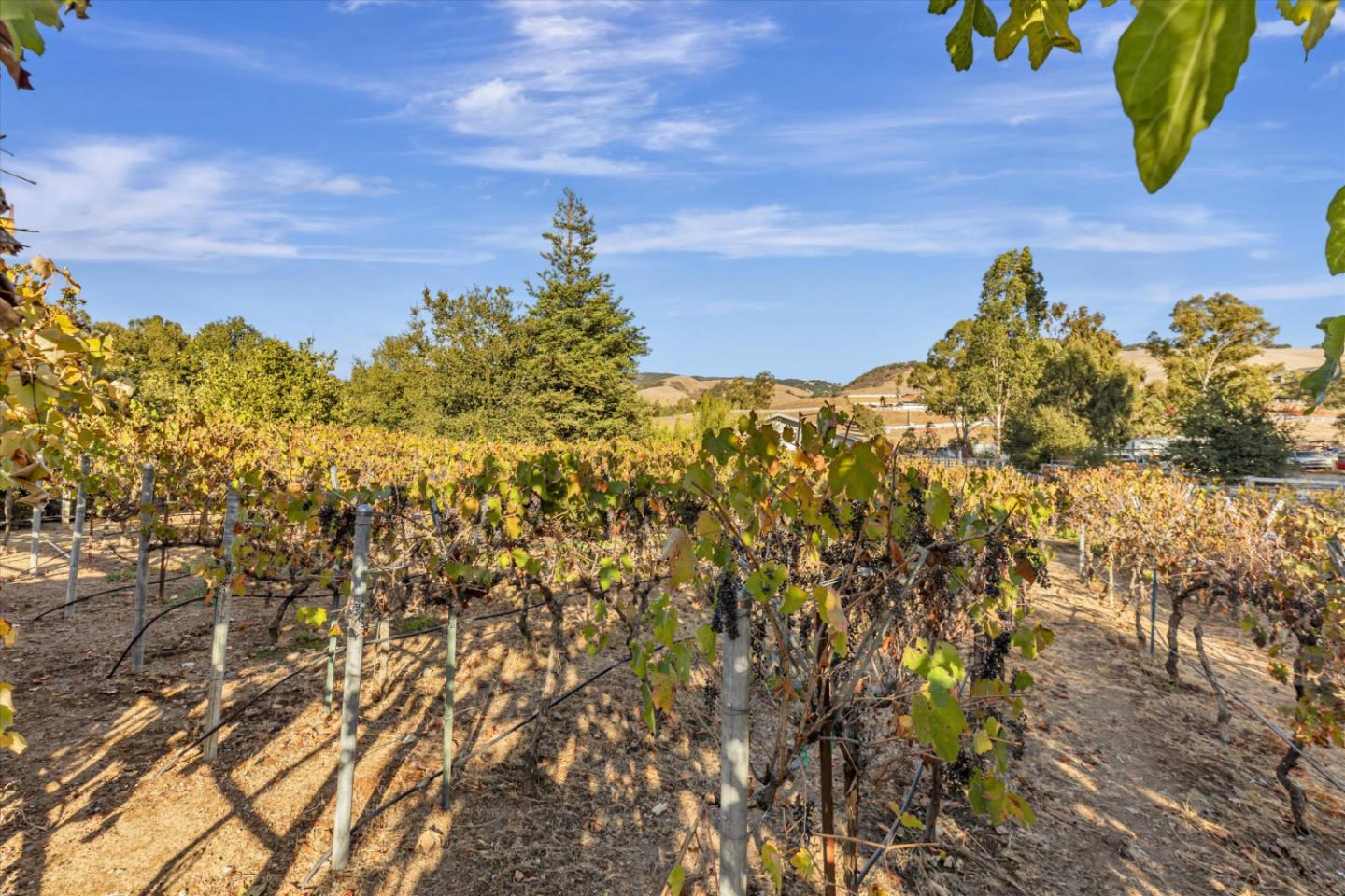 Detail Gallery Image 60 of 76 For 11462 Heritage Manor Pl, Gilroy,  CA 95020 - 4 Beds | 3/1 Baths