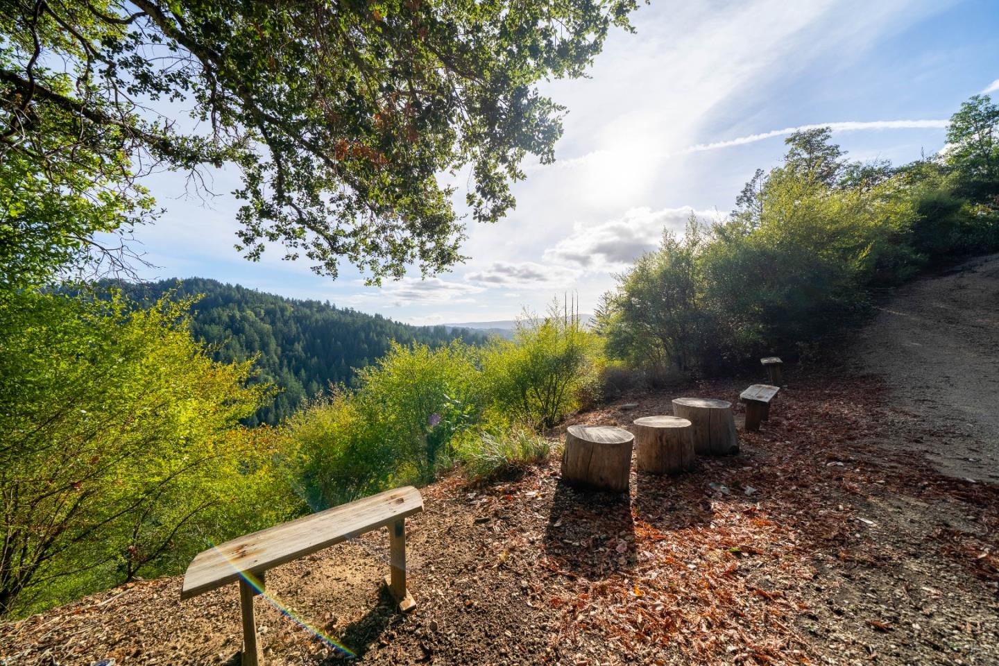 Detail Gallery Image 40 of 71 For 1301 Bear Creek Cyn, Boulder Creek,  CA 95006 - 3 Beds | 2 Baths
