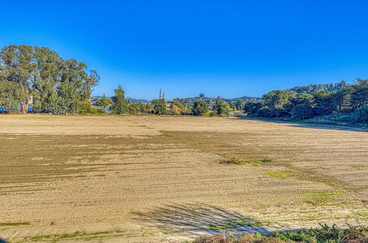 Detail Gallery Image 82 of 90 For 1051 San Miguel Cyn Rd, Royal Oaks,  CA 95076 - 3 Beds | 3 Baths