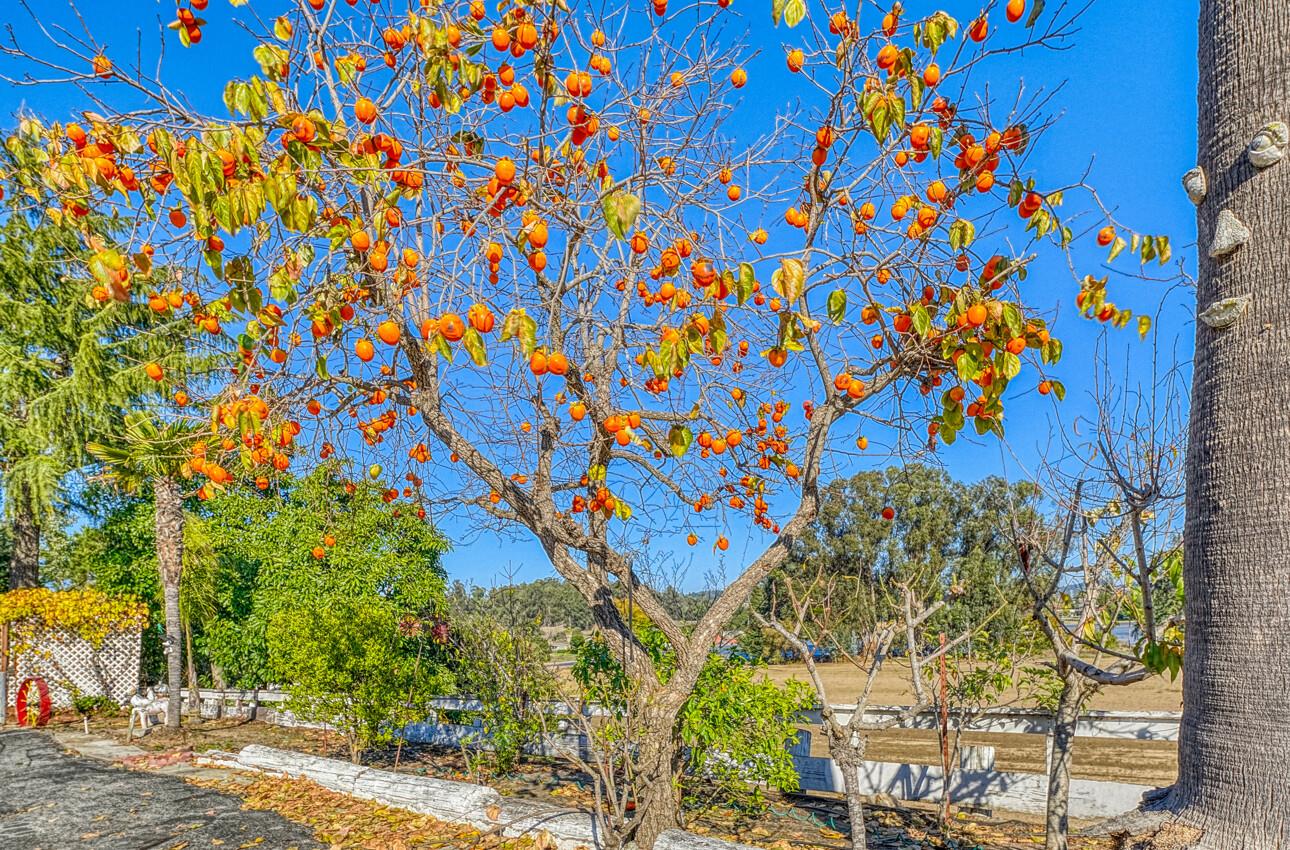 Detail Gallery Image 88 of 90 For 1051 San Miguel Cyn Rd, Royal Oaks,  CA 95076 - 3 Beds | 3 Baths