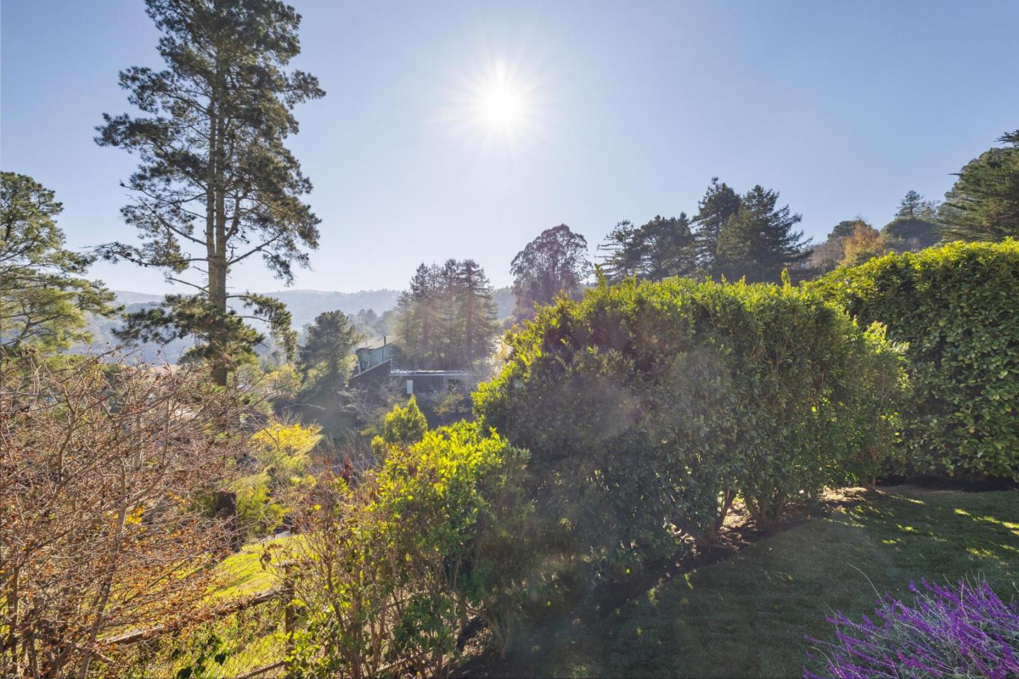 Detail Gallery Image 45 of 117 For 329 Richardson Way, Mill Valley,  CA 94941 - 2 Beds | 2 Baths