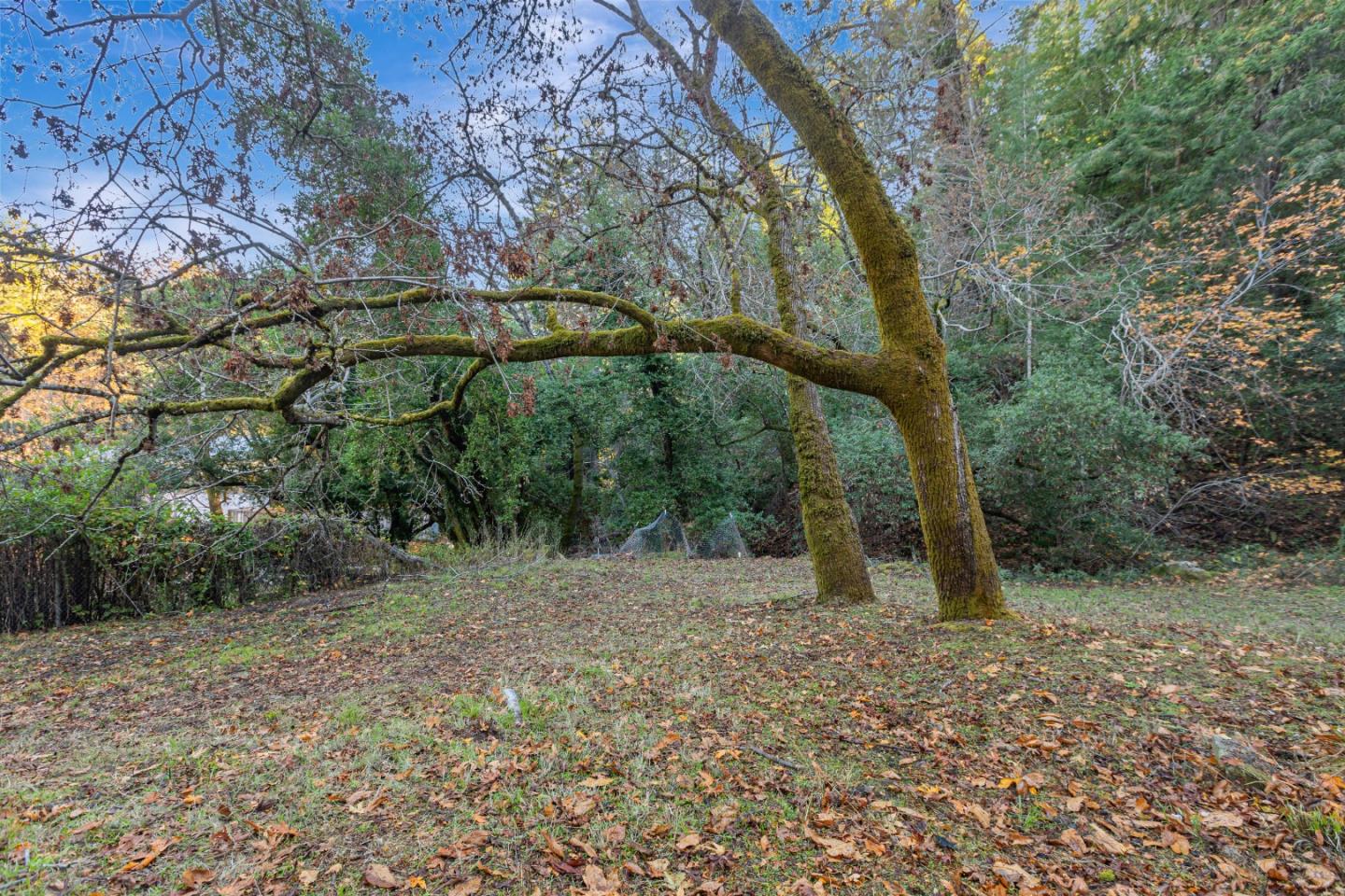 Detail Gallery Image 56 of 77 For 16128 Sanborn Rd, Saratoga,  CA 95070 - 6 Beds | 3 Baths