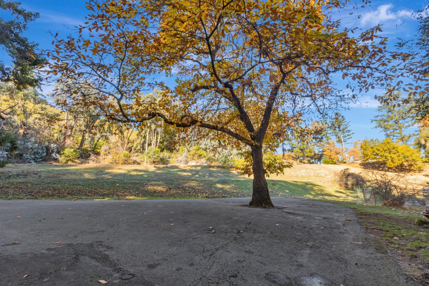 Detail Gallery Image 59 of 77 For 16128 Sanborn Rd, Saratoga,  CA 95070 - 6 Beds | 3 Baths