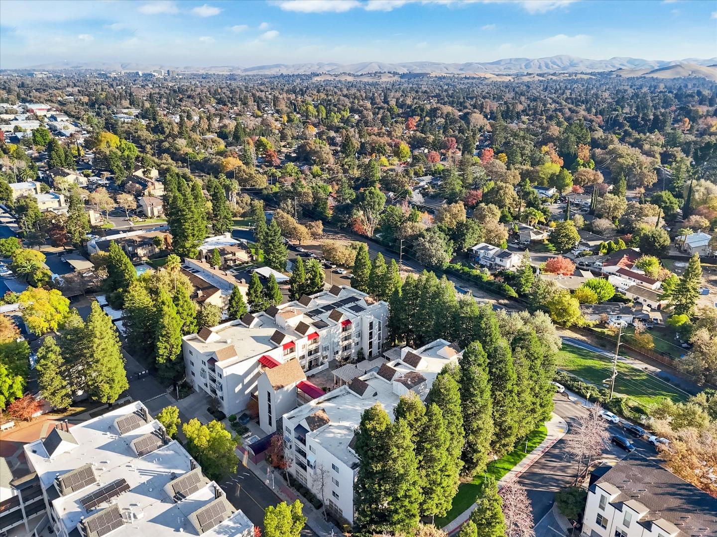 Detail Gallery Image 42 of 47 For 3173 Wayside Plz #213,  Walnut Creek,  CA 94597 - 1 Beds | 1 Baths