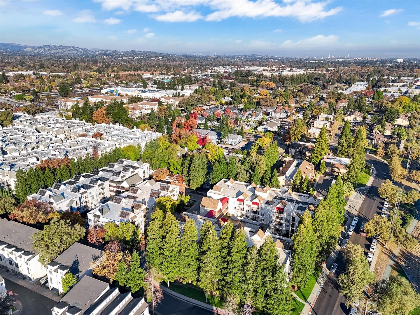 Detail Gallery Image 43 of 47 For 3173 Wayside Plz #213,  Walnut Creek,  CA 94597 - 1 Beds | 1 Baths