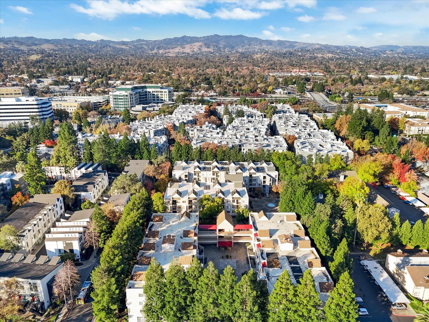 Detail Gallery Image 44 of 47 For 3173 Wayside Plz #213,  Walnut Creek,  CA 94597 - 1 Beds | 1 Baths