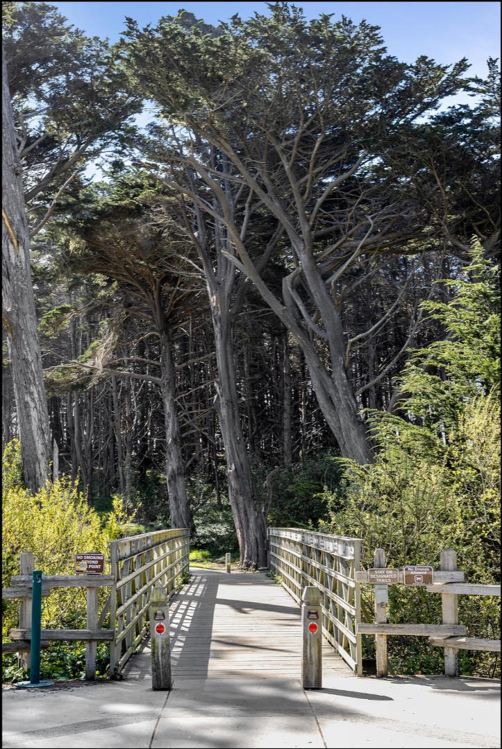Detail Gallery Image 76 of 80 For 263 Nevada Ave, Moss Beach,  CA 94038 - 4 Beds | 4/1 Baths