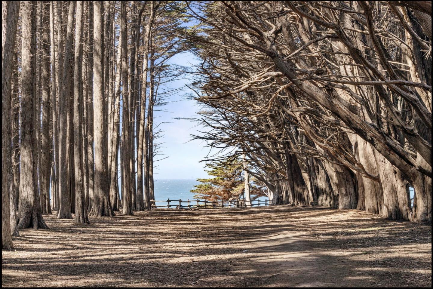 Detail Gallery Image 77 of 80 For 263 Nevada Ave, Moss Beach,  CA 94038 - 4 Beds | 4/1 Baths