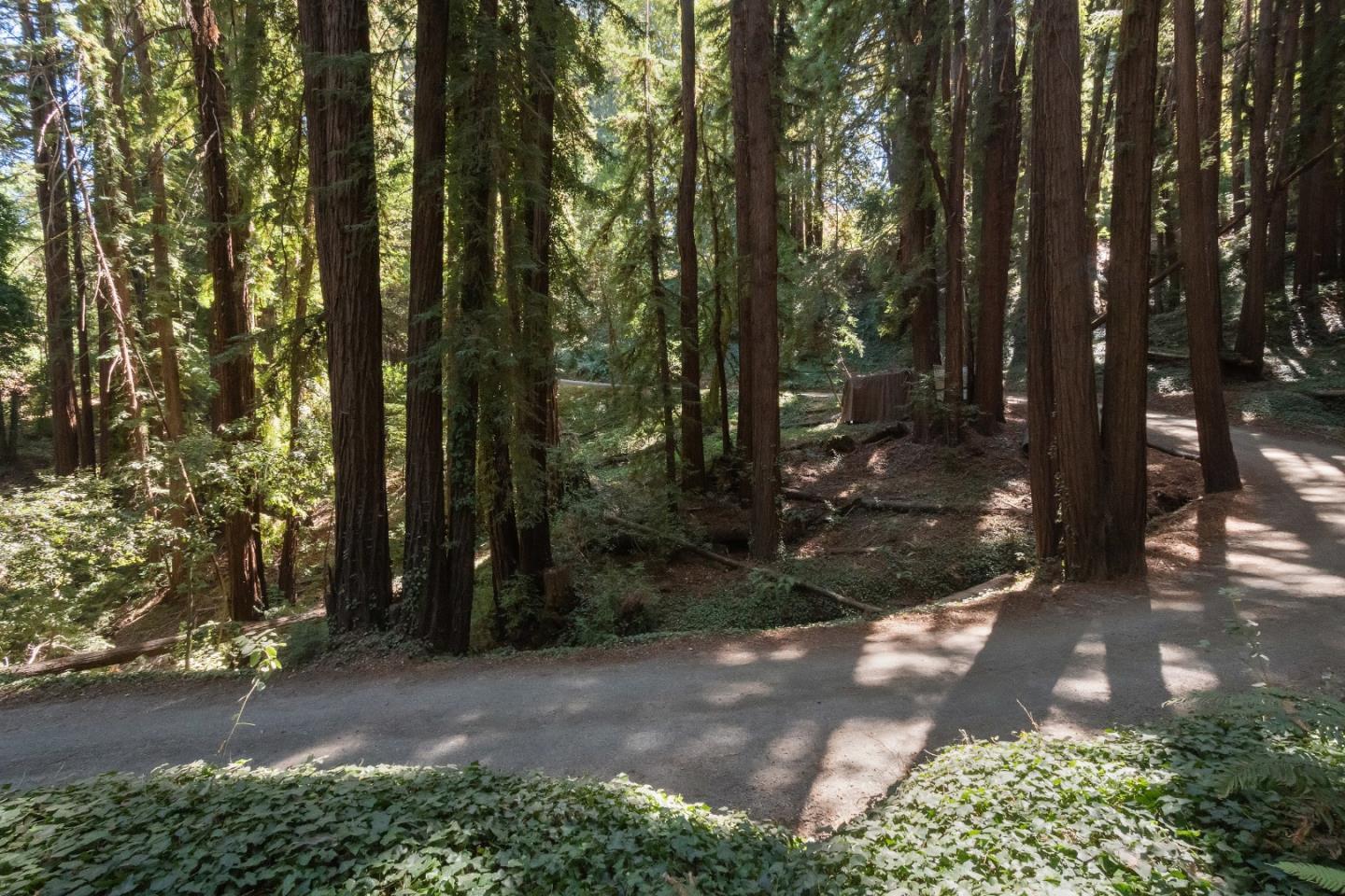 Detail Gallery Image 6 of 15 For 446 Old La Honda Rd, Woodside,  CA 94062 - – Beds | – Baths