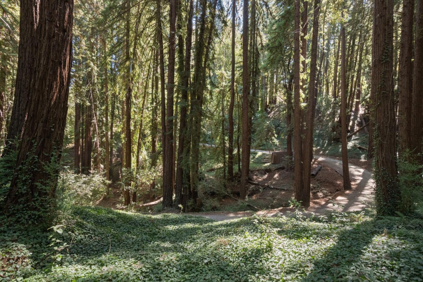 Detail Gallery Image 8 of 15 For 446 Old La Honda Rd, Woodside,  CA 94062 - – Beds | – Baths